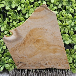 Jasper - Rough Lapidary Slab - Unpolished