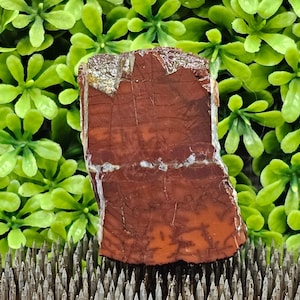 Jasper - Rough Lapidary Slab - Unpolished