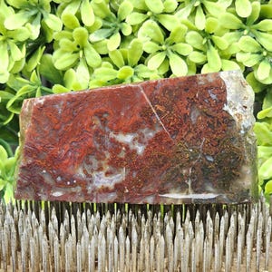 Maury Mountain Moss Agate - Rough Lapidary Slab - Unpolished