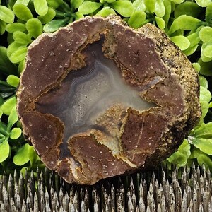 Oregon Thunderegg: ruwe lapidaire plaat, ongepolijst