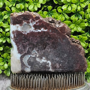 Oregon Thunderegg: ruwe lapidaire plaat, ongepolijst