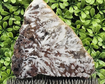 Mystery Plume Agate - Rough Lapidary Slab - Unpolished