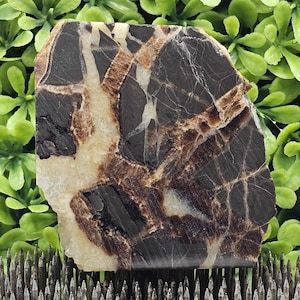 Septarian Nodule (Dragon Stone)- Rough Lapidary Slab- Unpolished
