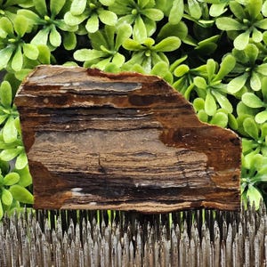 Biggs Picture Jasper - Lastra lapidaria grezza - Non lucidata