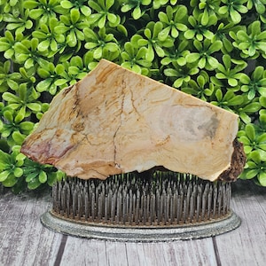 Opalized Petrified Wood - Rough Lapidary Slab - Unpolished