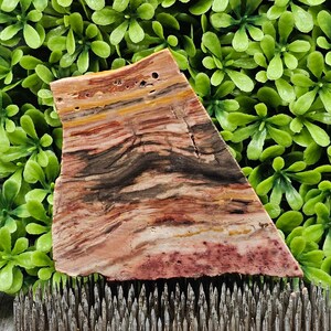 Caldera Freedom Jasper - Rough Lapidary Slab - Unpolished