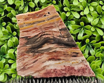 Caldera Freedom Jasper - Rough Lapidary Slab - Unpolished