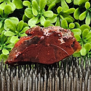 May include: A close-up of a red, brown, and white agate stone with a rough, textured surface. The stone is sitting on a background of metal pins.