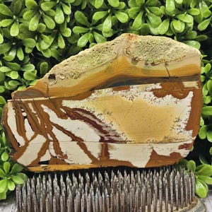 Picture Jasper - Rough Lapidary Slab - Unpolished