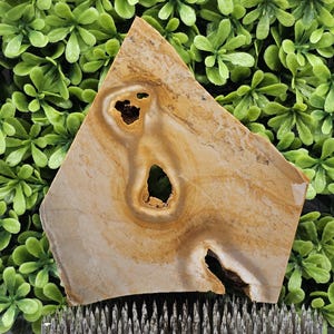 Jasper - Rough Lapidary Slab - Unpolished