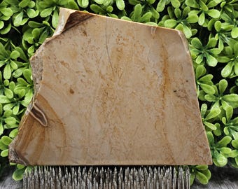 May include: A large, irregularly shaped piece of beige stone with brown and tan veining, resting on a silver metal floral frog. The stone has a rough, natural edge and a smooth, polished surface. Green foliage is in the background.