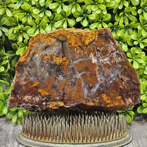 Biggs Jasper - Beers Mountain Oregon - ruwe lapidaire plaat - ongepolijst