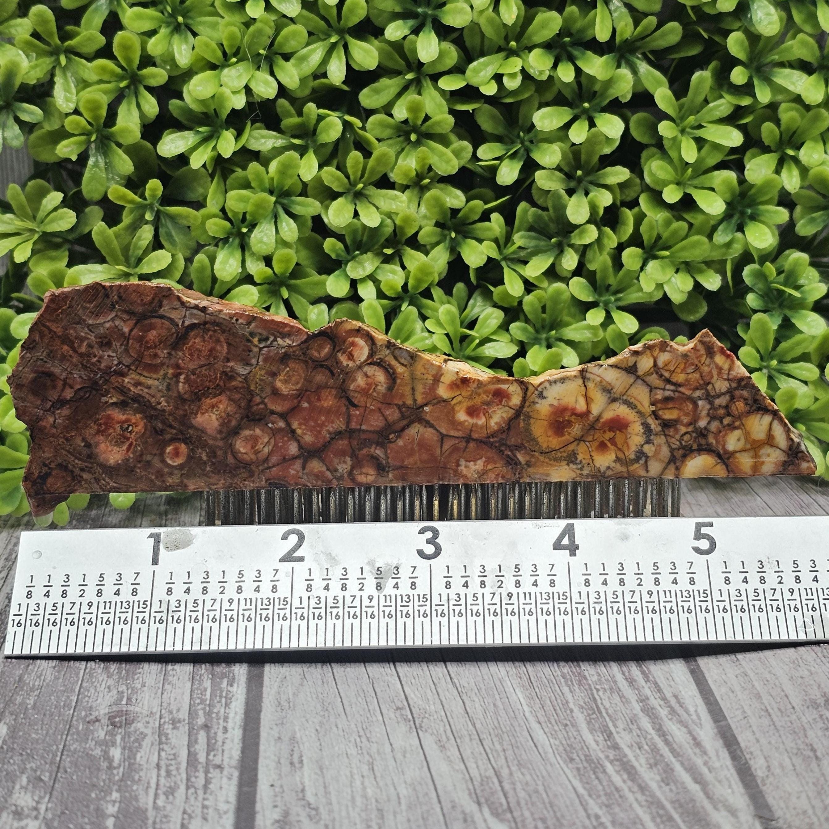Birdseye Rhyolite, Rough Lapidary Slab - Unpolished Natural Stone (1.75 ...