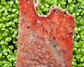 Cotton Candy Agate - Rough Lapidary Slab - Unpolished
