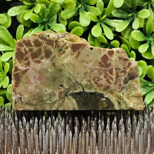 Ochoco Storm Agate - Rough Lapidary Slab - Unpolished