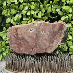 Jasper - Rough Lapidary Slab - Unpolished