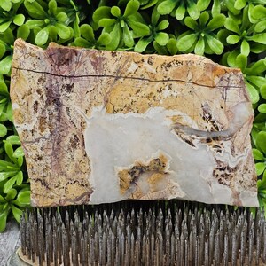 Jasp-Agate - Rough Lapidary Slab - Unpolished