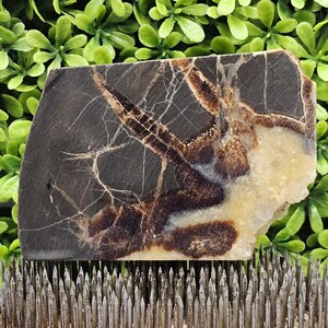 Septarian Nodule (Dragon Stone)- Rough Lapidary Slab- Unpolished