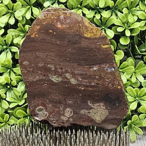 Jasp-Agate - Rough Lapidary Slab - Unpolished