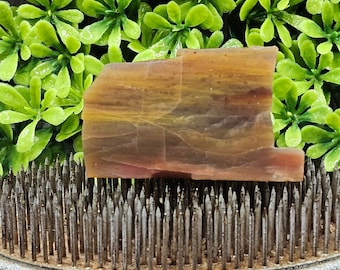 Versteend hout, ruwe plaat