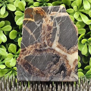 Septarian Nodule (Dragon Stone)- Rough Lapidary Slab- Unpolished