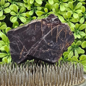 Black Petrified Wood - Rough Lapidary Slab - Unpolished