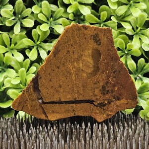 Jasper - Rough Lapidary Slab - Unpolished
