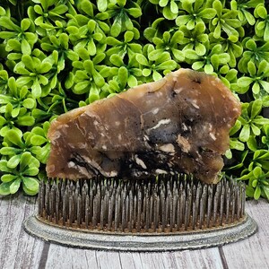 Rootbeer Agate - Beers Mountain Oregon - Rough Lapidary Slab - Unpolished