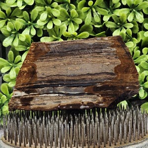 Biggs Picture Jasper - Lastra lapidaria grezza - Non lucidata