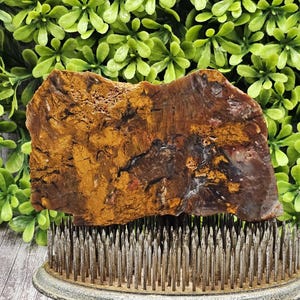 Biggs Jasper - Beers Mountain Oregon - Rough Lapidary Slab - Unpolished