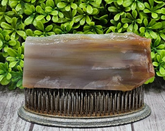 Versteend hout, ruwe plaat