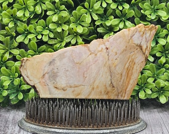 Opaal versteend hout, ruwe plaat,