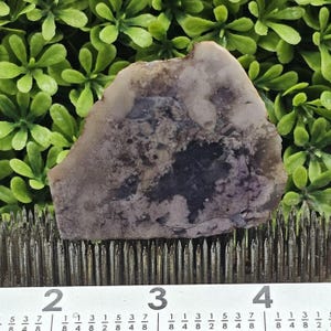 May include: A rough-cut, irregularly shaped stone with a mix of colors, including lavender, gray, and dark purple. The stone has a textured surface and is set against a backdrop of green foliage. A ruler is at the bottom.