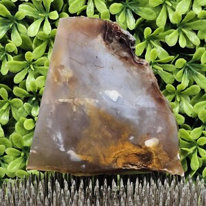 Addison Agate - Rough Lapidary Slab - Unpolished