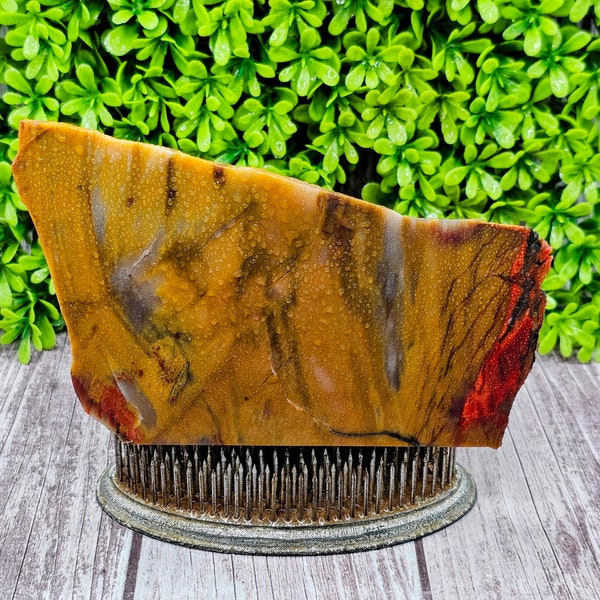 Petrified Wood - Grassy Mountain - Rough Slab