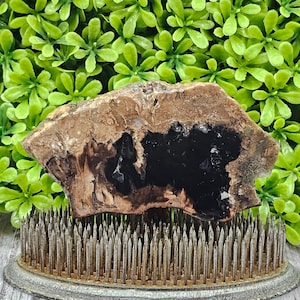 Petrified Wood-(stabilized) - Rough Lapidary Slab - Unpolished