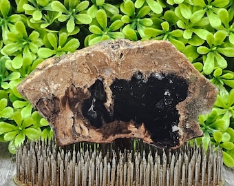 Versteend hout, ruwe plaat,