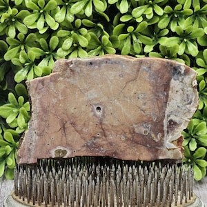 Jasper - Rough Lapidary Slab - Unpolished