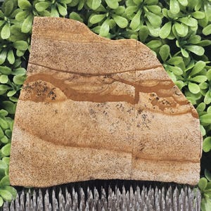 Picture Jasper - Rough Lapidary Slab - Unpolished