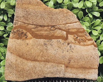 May include: A natural sandstone slab with a unique pattern of tan, brown, and beige hues. The stone has a rough, textured surface and a distinctive layered appearance. The irregular shape and color variations make it a decorative item.