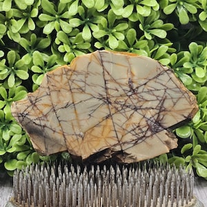 Picasso Jasper- Rough Lapidary Slab- Unpolished