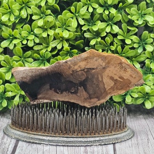Agatized Petrified Wood - Rough Lapidary Slab - Unpolished