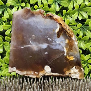 Addison Agate - Rough Lapidary Slab - Unpolished