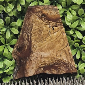 Picture Jasper - Rough Lapidary Slab - Unpolished