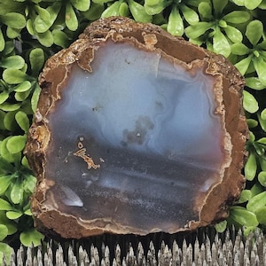 Oregon Thunderegg - Rough Lapidary Slab - Unpolished