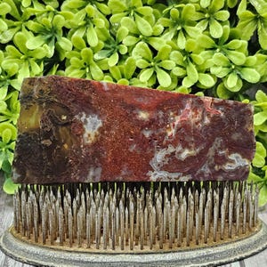 Maury Mountain Moss Agate - Rough Lapidary Slab - Unpolished