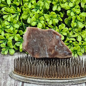 Petrified Wood - Rough Lapidary Slab - Unpolished