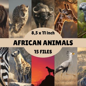 Pacchetto di carta digitale con animali africani - 15 texture di animali selvatici del safari, sfondi con animali esotici, scrapbooking con animali del safari