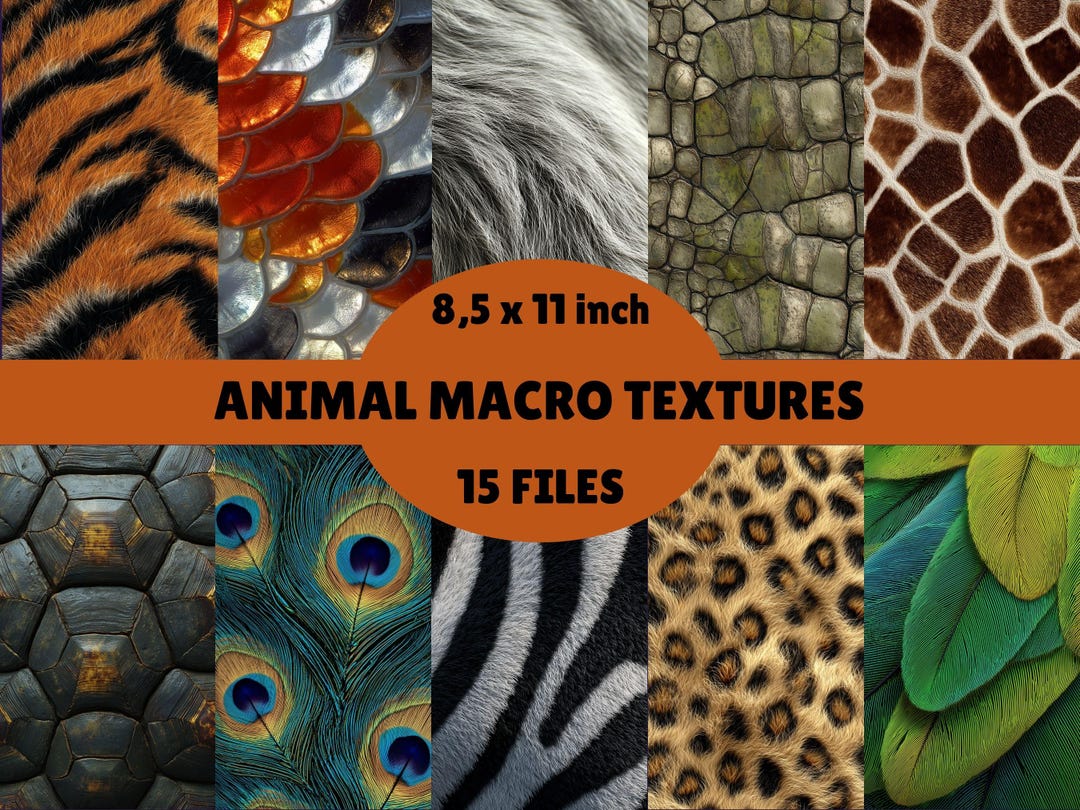 Paper Texture Animals Animal Macro Textures Digital Paper: Realistic Fur, Feather, Scale ...