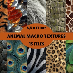 Op de afbeelding: Een collage van dierlijke macrotexturen, waaronder tijgerstrepen, visschubben, vacht, reptielenhuid, giraffevlekken, schildpadschild, pauwenveren, zebrapatronen, luipaardvlekken en vogelveren. De afbeelding is gelabeld met "8,5 x 11 inch" en "ANIMAL MACRO TEXTURES 15 FILES."